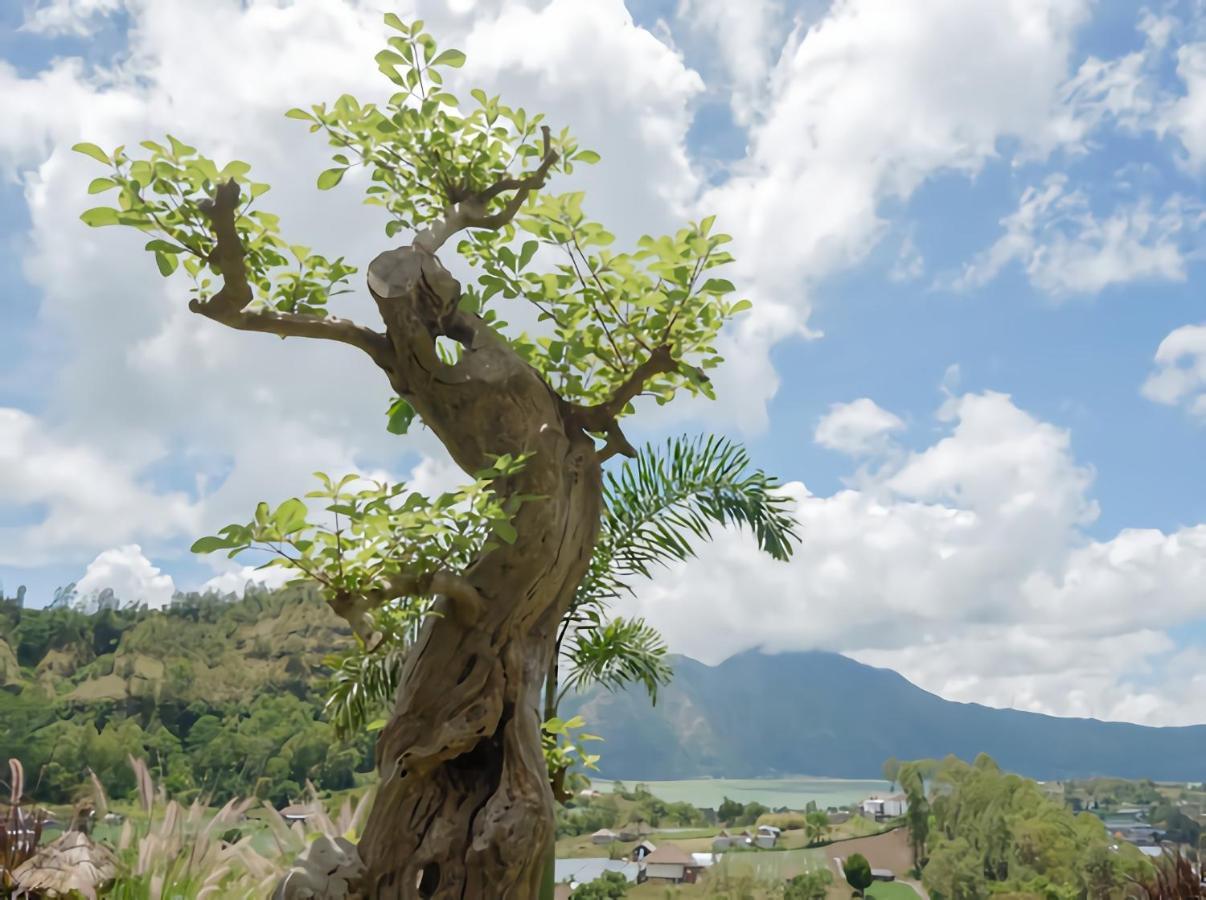 Batur Cliff Panorama Villa Baturaja  Luaran gambar